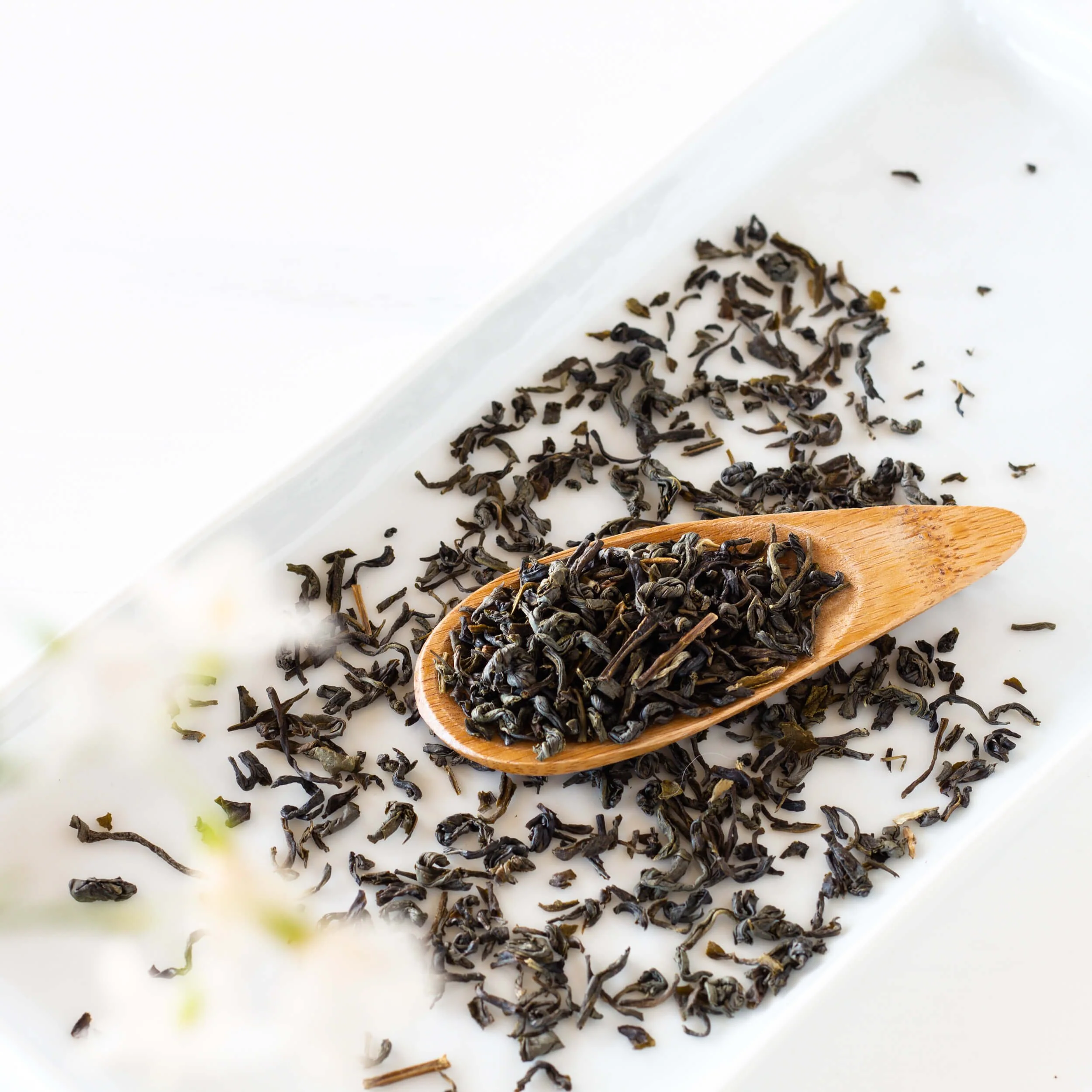 Jasmine Yin Cloud Green Tea - Image 4